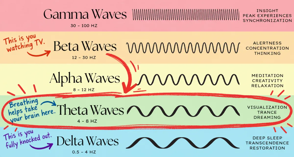 Chart of brain wave states — gamma, beta, alpha, theta, delta — with theta circled.
